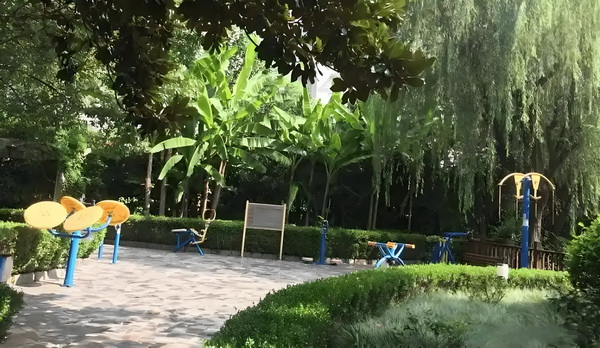 深圳新城大厦政户中心_国乒夺得4项世界第一！王楚钦孙颖莎功不可没，最大短板是男双？ 把一感觉搞砸你会自己了切都